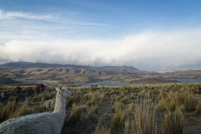 Peru 2015 Photo courtesy of John Mark Jennings 